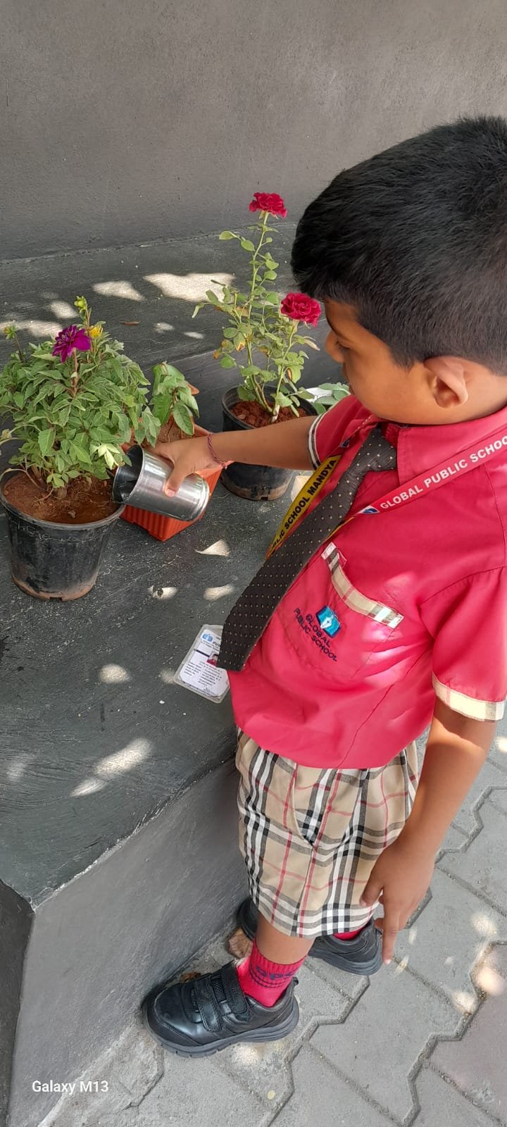 World Environmental Day