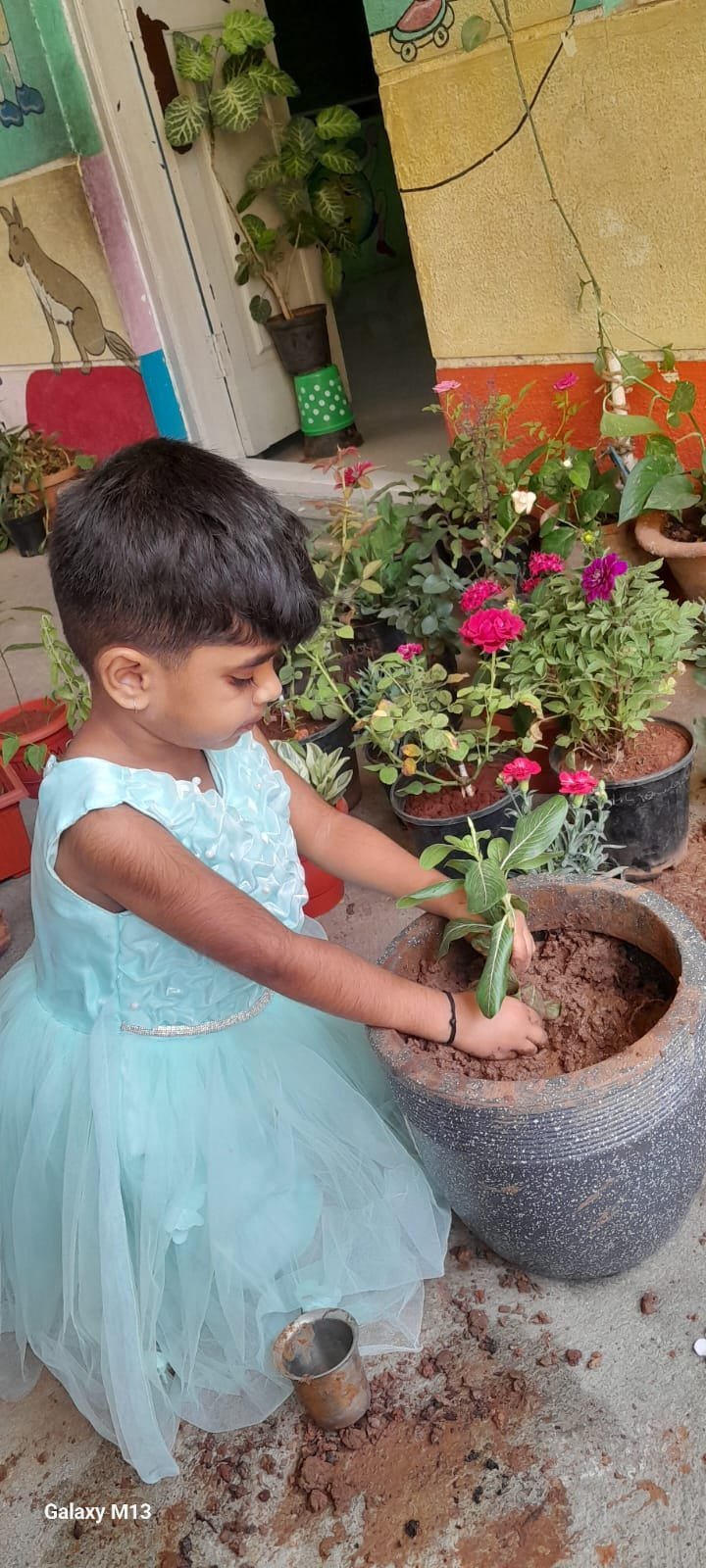 World Environmental Day