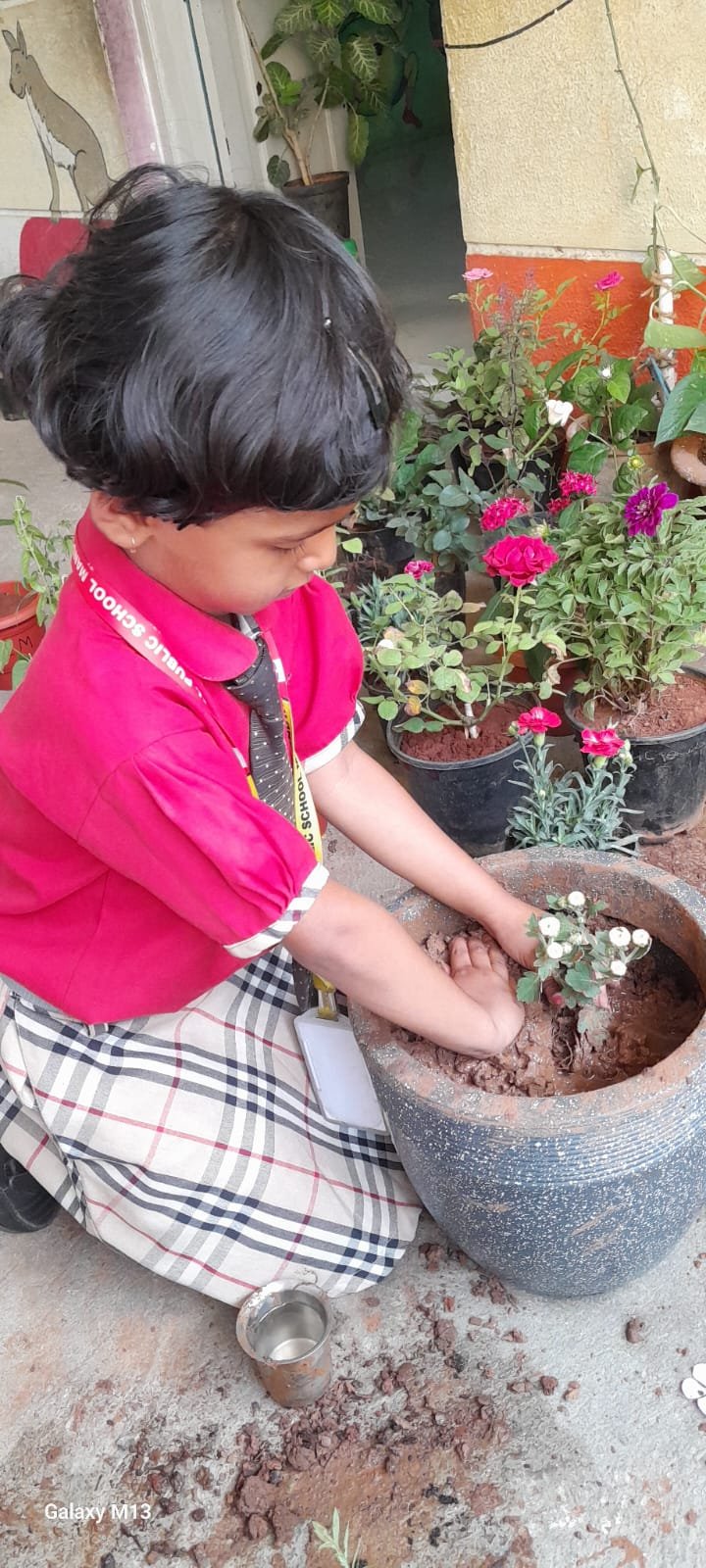 World Environmental Day