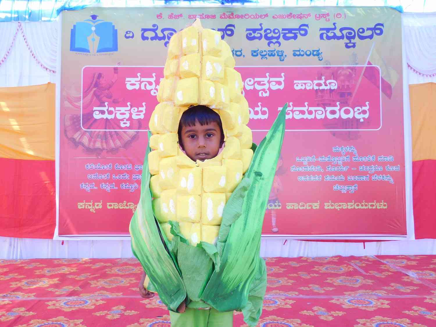 Rajyotsava & Children's Day 4